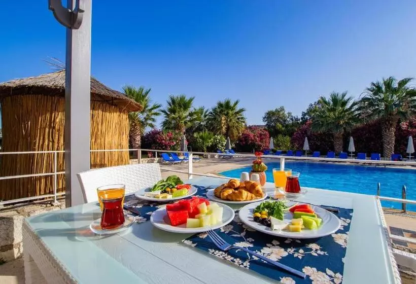 Aamiaismajoitus (B&B) Ladonia Hotels Zemda Gümüşlük