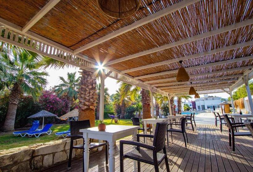 Bed and Breakfast Ladonia Hotels Zemda Gümüşlük