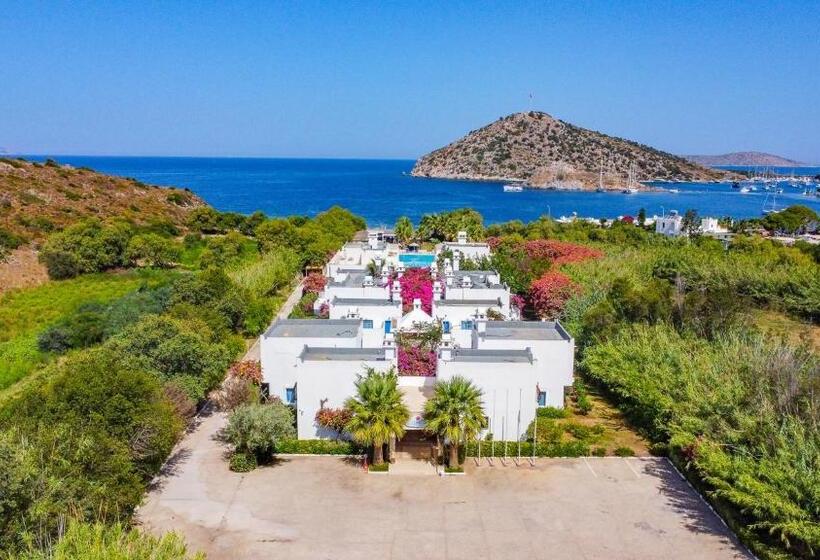 Bed and Breakfast Ladonia Hotels Zemda Gümüşlük