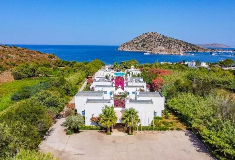 Aamiaismajoitus (B&B) Ladonia Hotels Zemda Gümüşlük