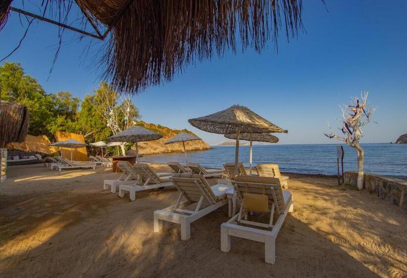 Bed and Breakfast Ladonia Hotels Zemda Gümüşlük