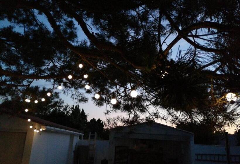 ベッドアンドブレックファースト Nataliledeco Bed And Breakfeast