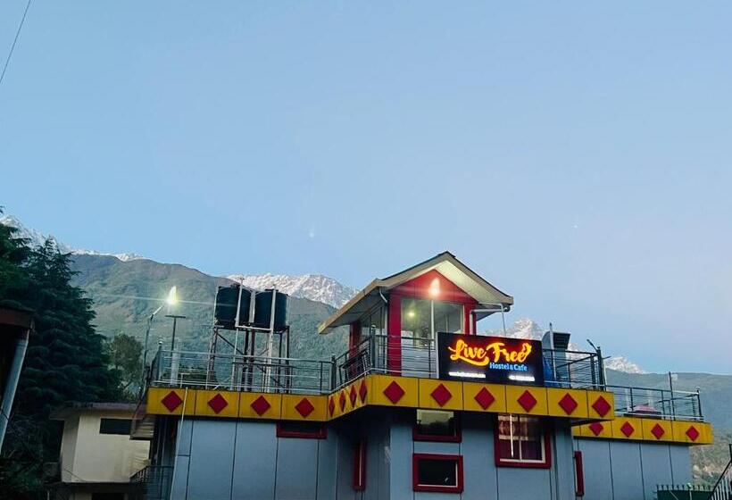 Live Free Hostel, Mcleodganj