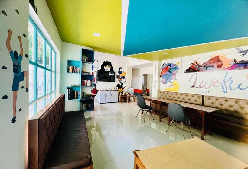 Live Free Hostel, Mcleodganj