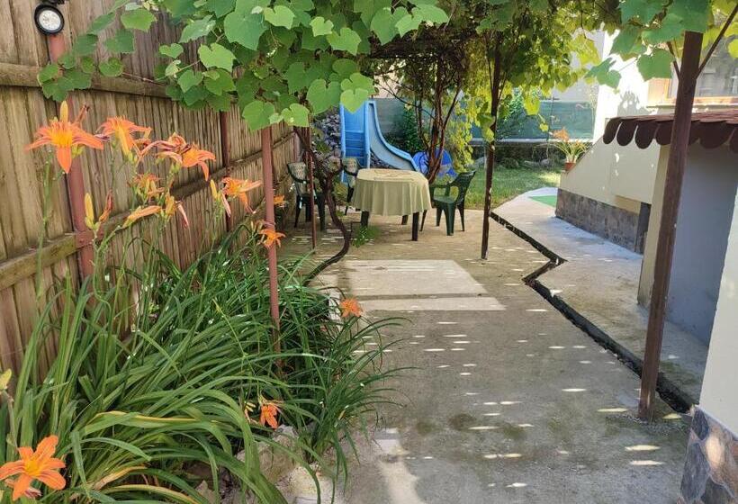 بنسيون Central House