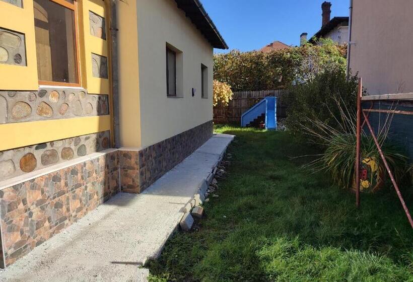 بنسيون Central House