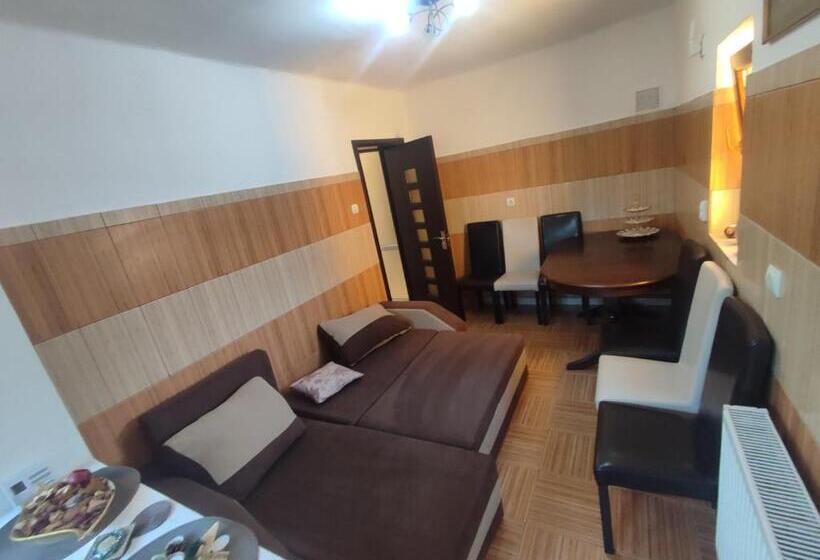 بنسيون Central House