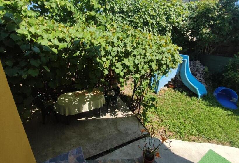 بنسيون Central House