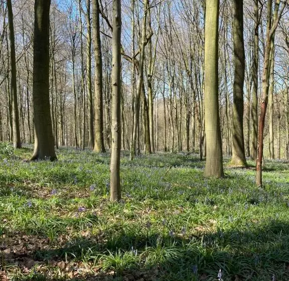 ペンション La Canopée Des Arbres, Anna