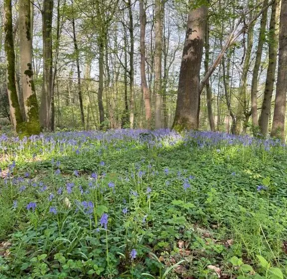 ペンション La Canopée Des Arbres, Anna