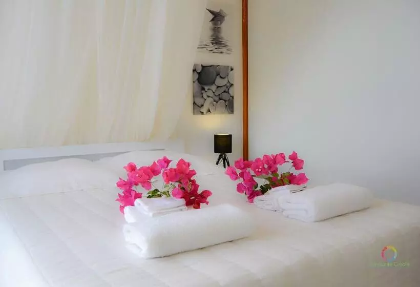 Harmonie Créole B&b