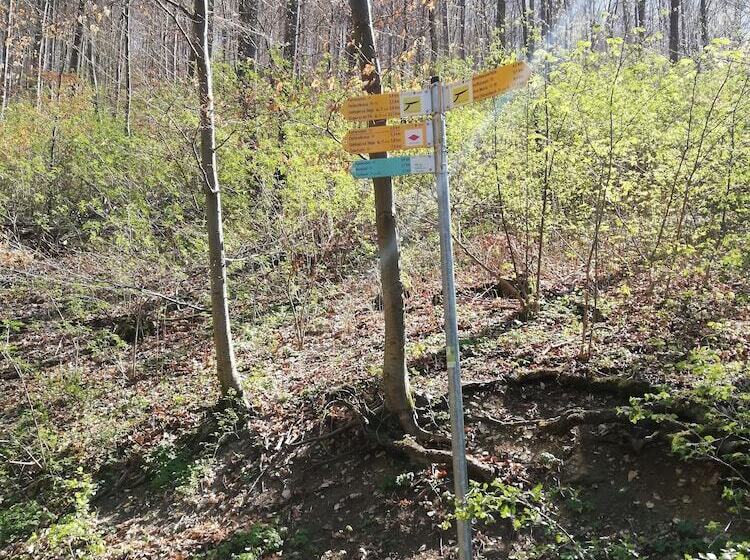 Otel Altes Pfarrhaus