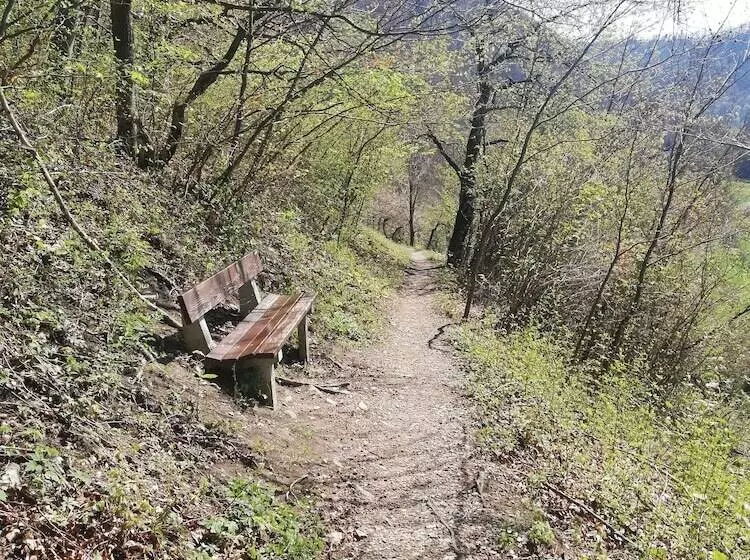 Hotelli Altes Pfarrhaus