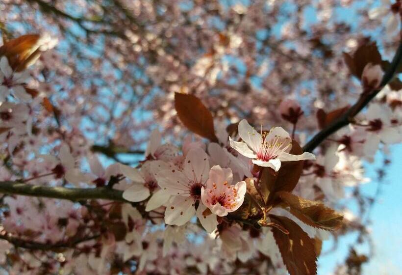 Apparthotel Ampertal