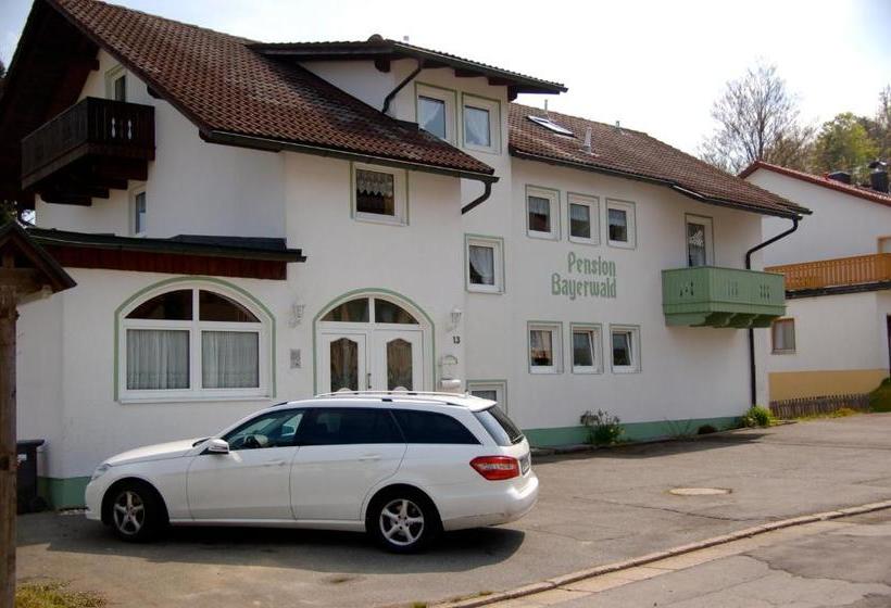 酒店 Pension Bayerwald