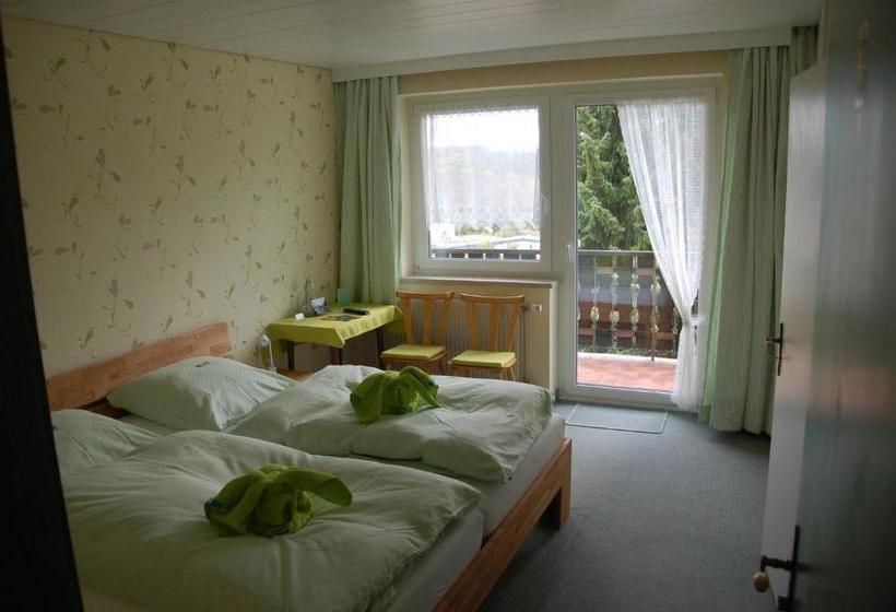 酒店 Pension Bayerwald