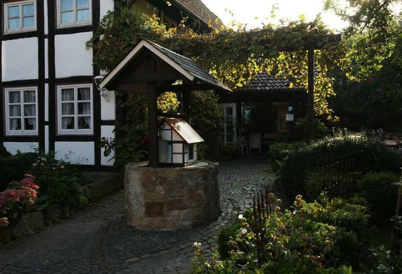 ホテル Café Am Stift