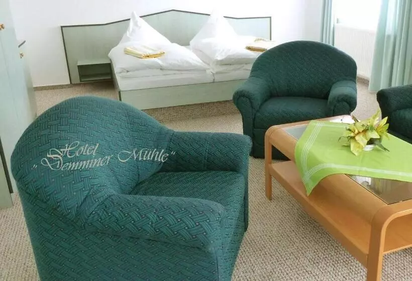 Hotelli Demminer Mühle