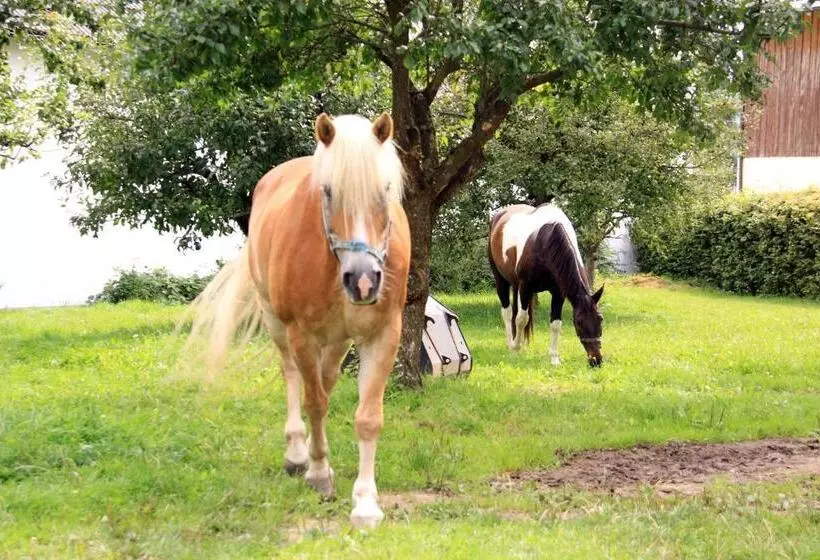 Hotelli Gasthof Zum Oberen Wirt