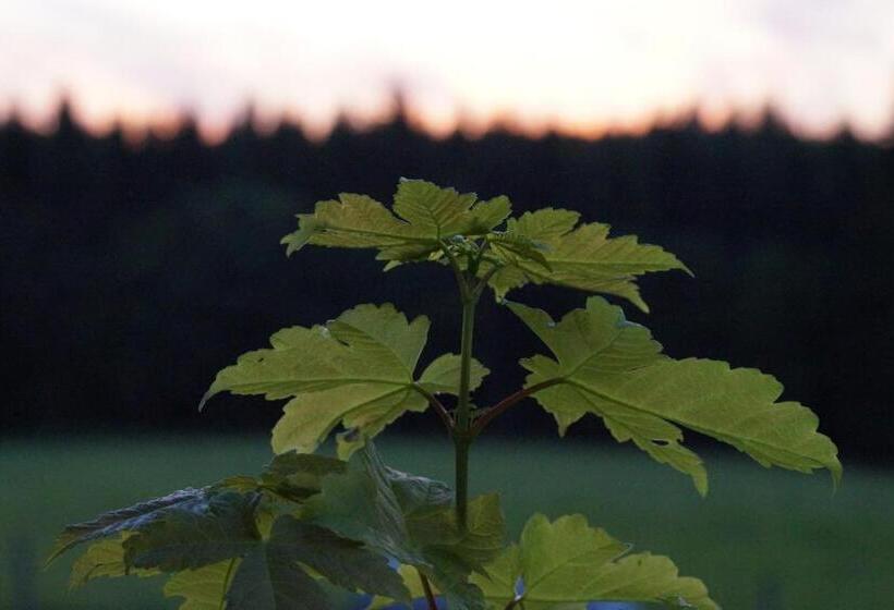 酒店 Landgasthof Restaurant Laibach