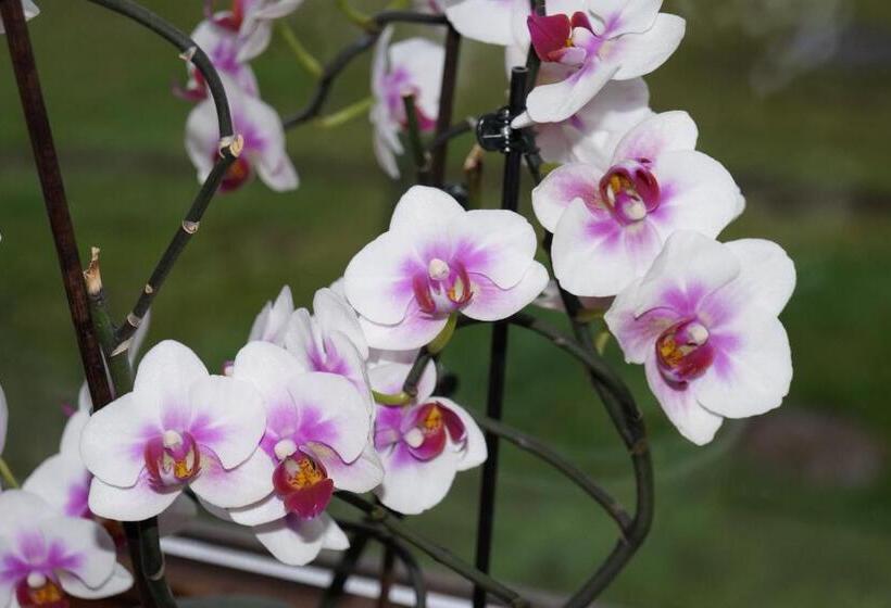 酒店 Landgasthof Restaurant Laibach