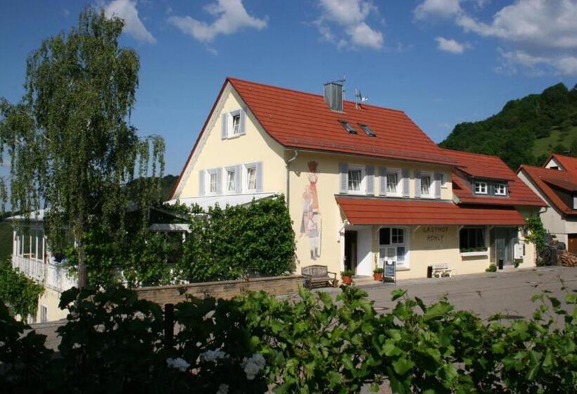 בית מלון כפרי Landhaus Hohly