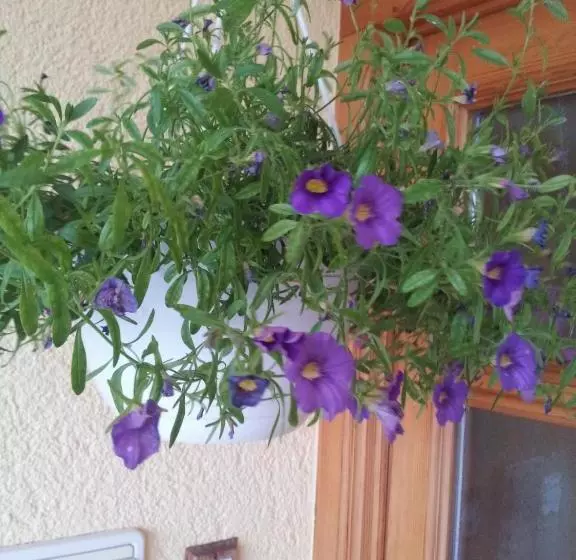 Hotelli Landhaus Weber