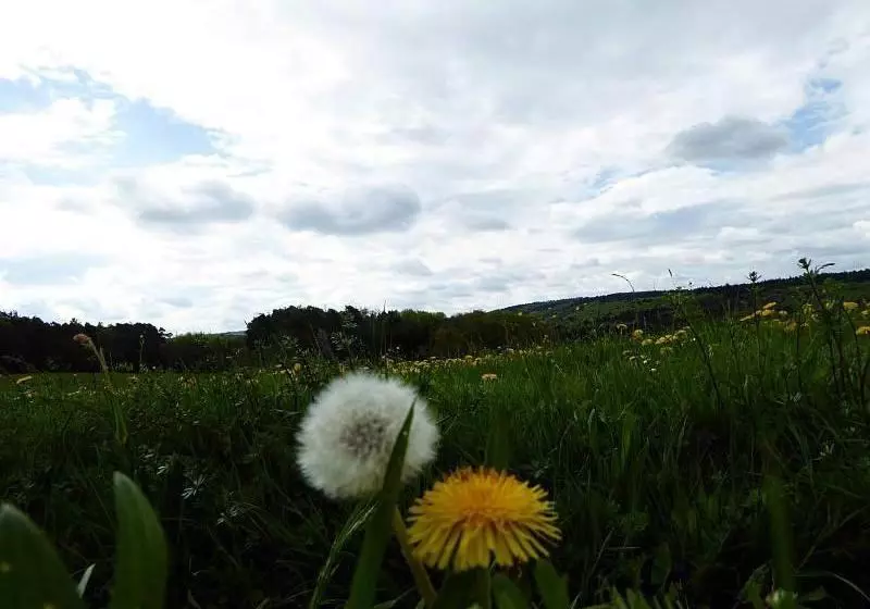 Hotelli Landhaus Weber