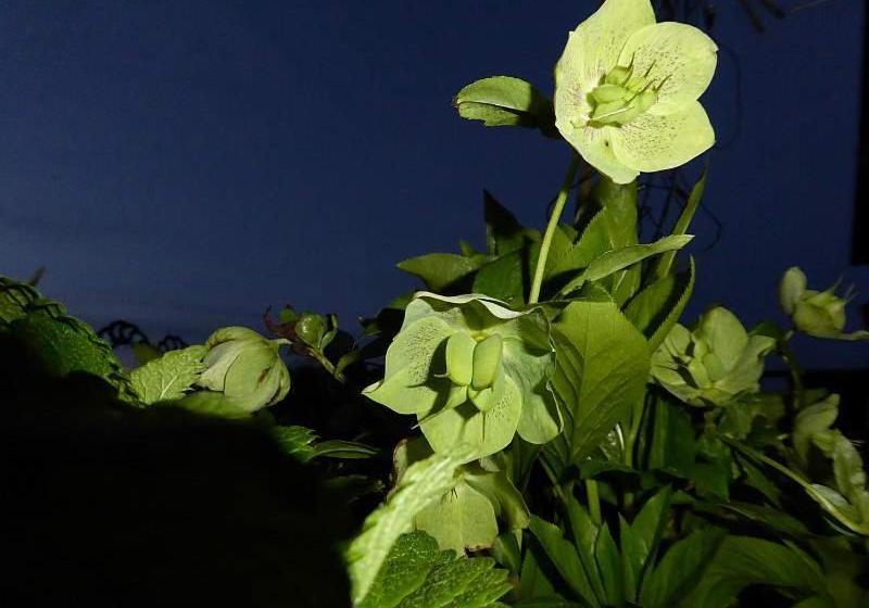 酒店 Landhaus Weber