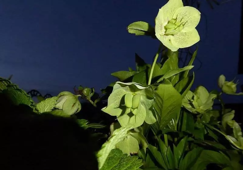 Hotelli Landhaus Weber