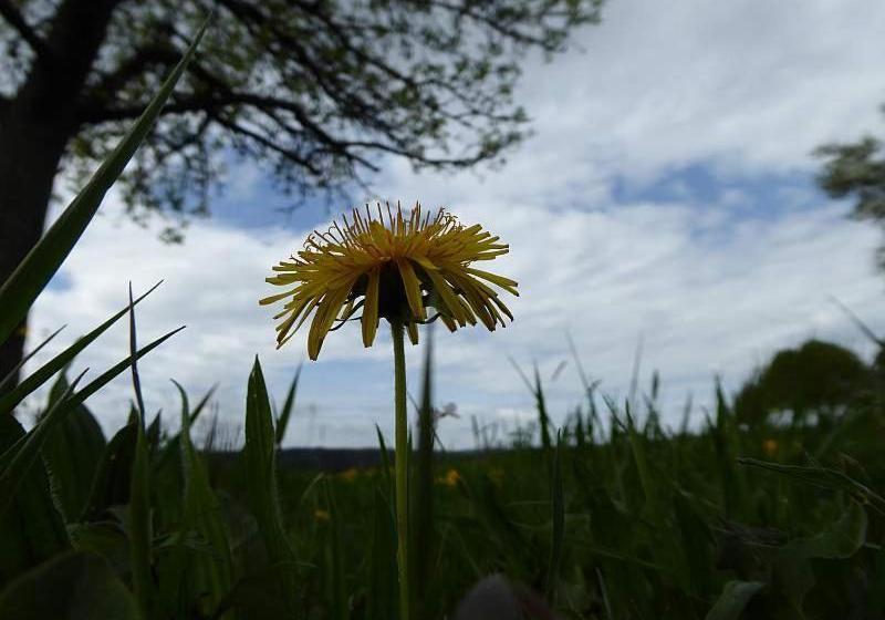 酒店 Landhaus Weber