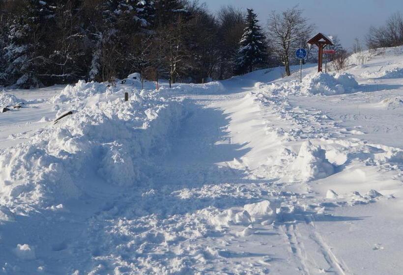 Отель Gasthaus & Pension Lisas Welt Wasserkuppe