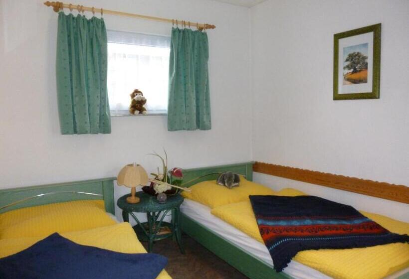 Отель Pension Am Peeneufer Ug