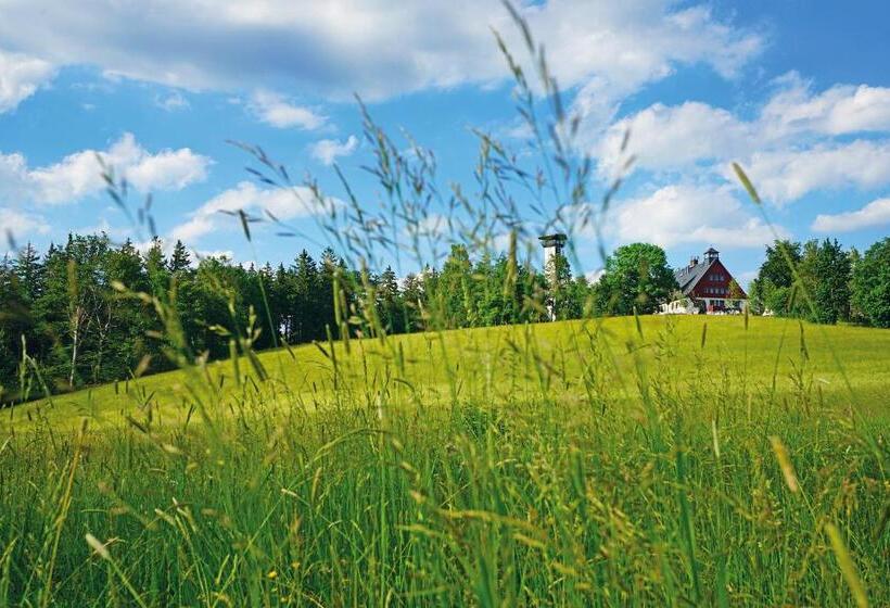 酒店 Und Restaurant Bühlhaus