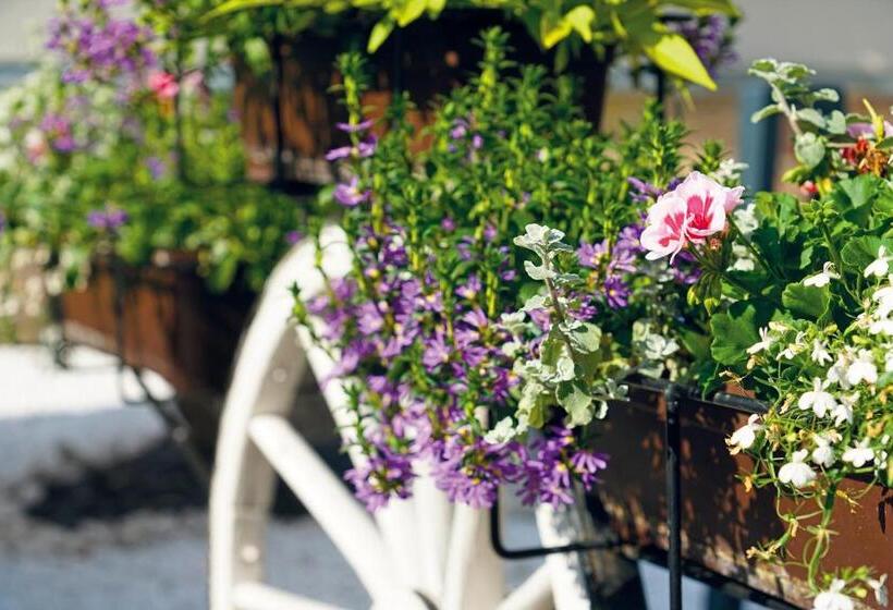 酒店 Und Restaurant Bühlhaus