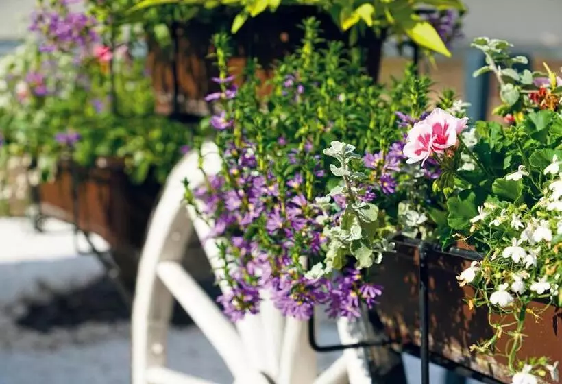 Hotelli Und Restaurant Bühlhaus