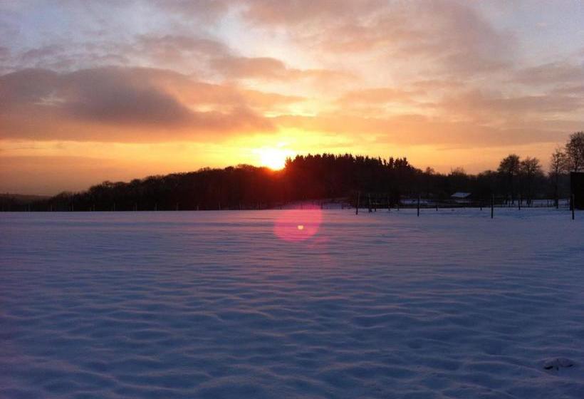 בית מלון כפרי Ferienpension Zum Hochscheid