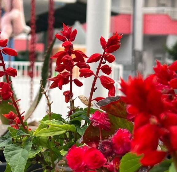 Hostel Rezidenca Mabel