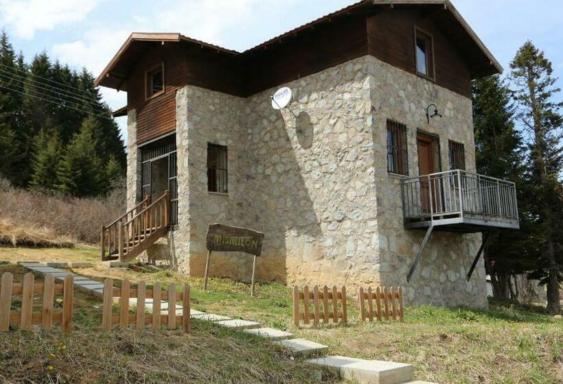 Отель çambaşı Armutalan Dağ Evleri
