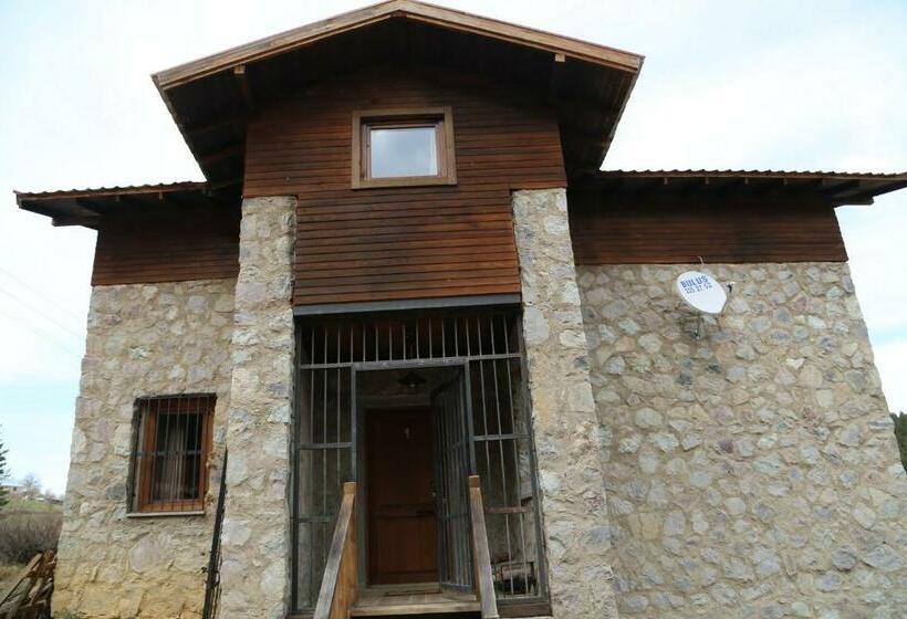 Отель çambaşı Armutalan Dağ Evleri