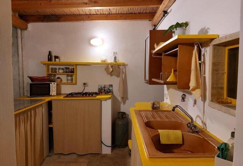 פנסיון Nunnu Pati Apartment