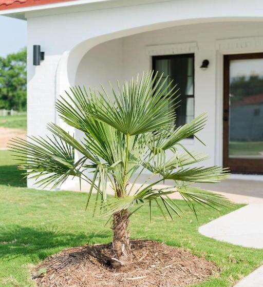 Курорт La Palmilla Texas