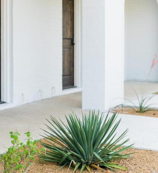 Курорт La Palmilla Texas