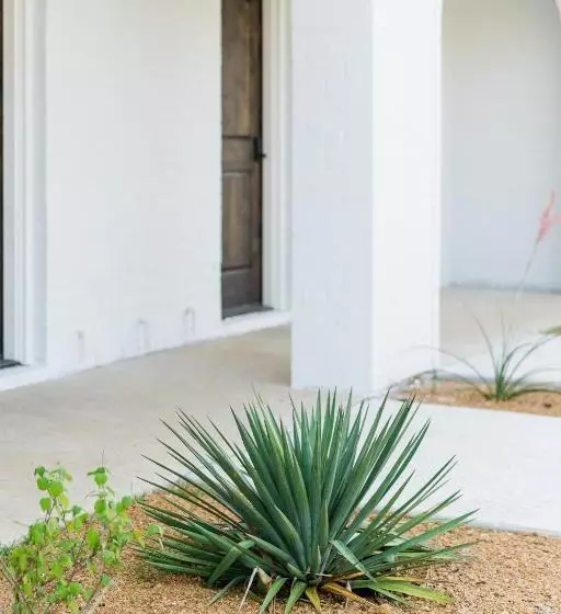 Lomakeskus La Palmilla Texas