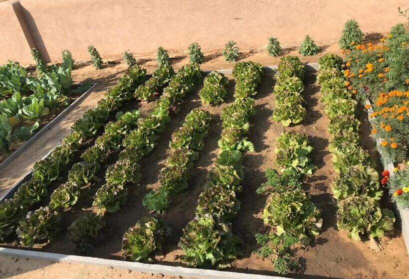 Отель Deeppura Garh