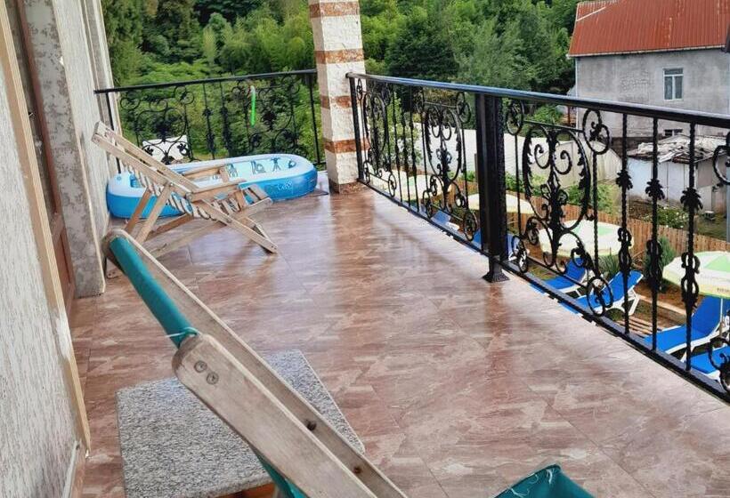 پانسیون Vila Chakvi