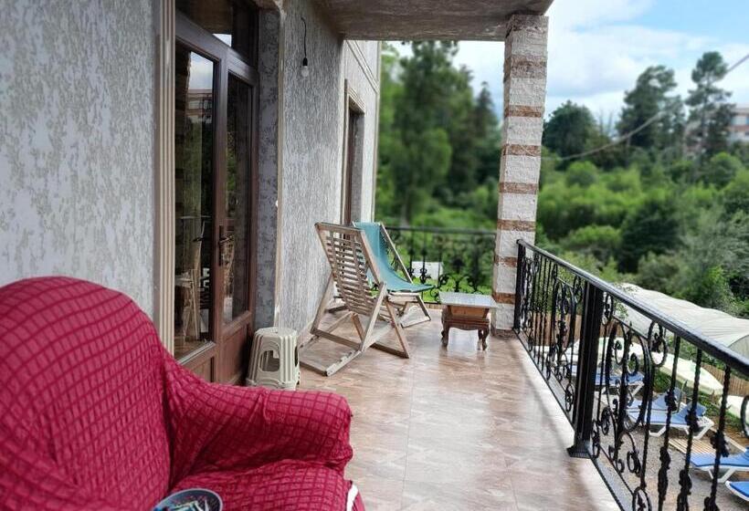 پانسیون Vila Chakvi