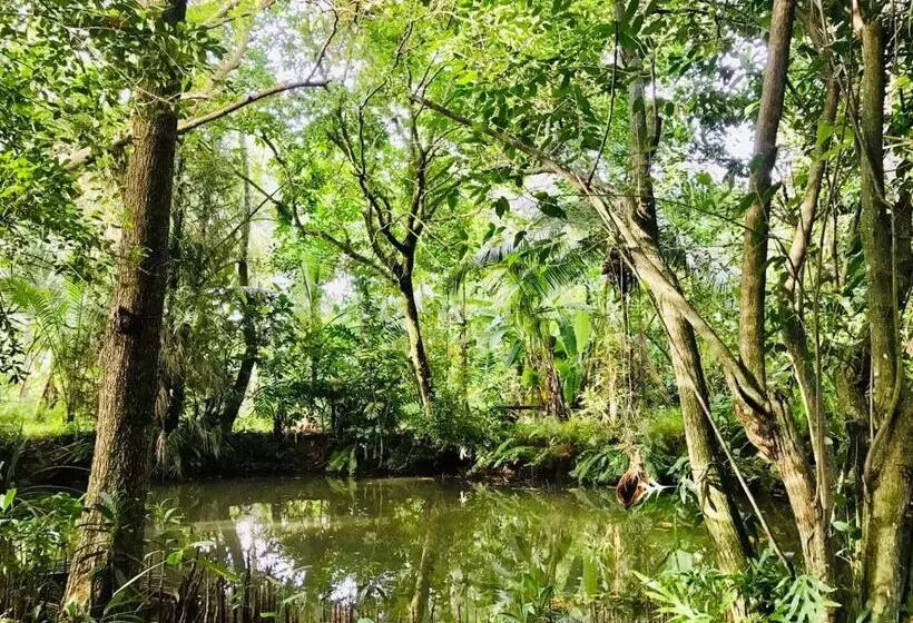 ペンション Museum Villa 09