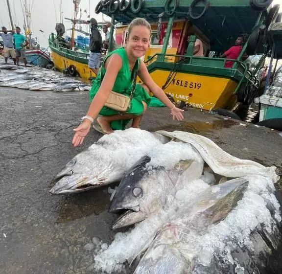 ペンション Museum Villa 09