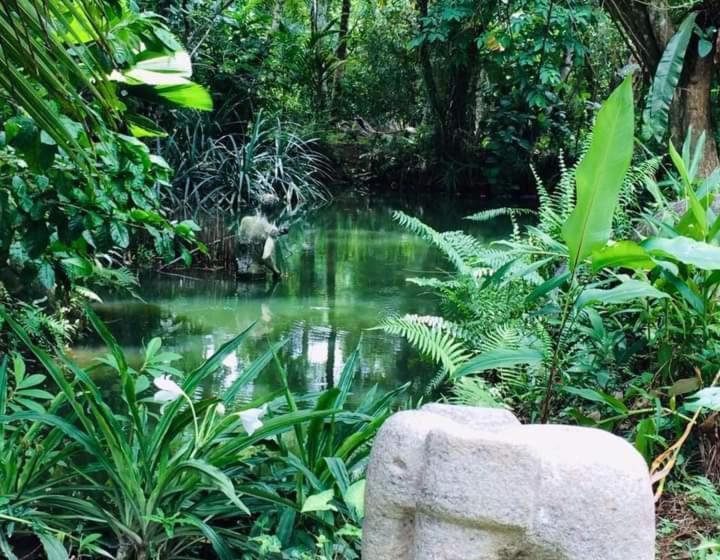 פנסיון Museum Villa 09